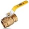 REVALVED Full Port 112 Brass Ball Valve LeadFree Brass Valve Female Threaded NPT Connector Max Pressure 150 PSI WSP 600 PSI WOG 150 in 1 Pack