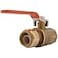 SharkBite 34 x 34 Inch Ball Valve with FNPT Connector Push to Connect Brass Plumbing Fitting PEX Pipe Copper CPVC PERT HDPE 221860000LF