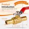 Horiznext pex valves 12 inch brass full port shut off valve kit with barb crimp rings for water pipes garden hose air line 6 red 6 blue
