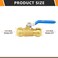 HeSun 2PCs Push Fit Ball Valve 12Inch PushtoConnect Full Port Shutoff Valve for Hot and Cold Waterwith 1 Disconnect Clip PEXCopperCPVC BluePFVALVE0472