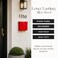 NACH Mailboxes for Outside Wall Mount 10 x 10 x 4 inch Red Mail Boxes for House Outside Waterproof Mailboxes for Outside Chicago Style Mail Box