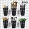 Kuhome 6 Set Ring Style Pegboard Hooks with Pegboard Cups Black Stainless Steel Plastic Ideal for Craft Room Work Bench Garage