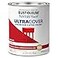 Rust-Oleum RustOleum 1966502 Painters Touch Brush Acrylic Latex Paint 1 Quarts Pack of 1 Gloss Apple Red Pack of 1