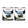 Rust-Oleum RustOleum 19385022PK Painters Touch Latex Paint Quart1 Quarts Pack of 2 Gloss Hunter Green