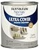 Rust-Oleum RustOleum 267335 Painters Touch Latex Acrylic Paint Satin Stone Gray 32 Fl Oz Pack of 1