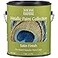 Modern Masters 1 gal ME659 Olympic Gold Metallic Paint Collection Satin WaterBased Decorative Metallic Paint