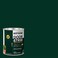 Rust-Oleum RustOleum 376514 Advanced Dry Door Trim Paint Quart Satin Vermont Green