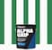 Slip Doctors Alpha Grip NonSlip Paint for Concrete Asphalt NonSkid Coating Ideal for Striping Parking Lots Playgrounds Pavements Tennis Green Quart