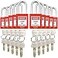 SAFBY 10 Keyed Different Lockout Tagout Lock Loto Safe Padlocks for Lock Out Tag Out Stations and Devices Red Key Different