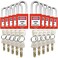 SAFBY 10 Keyed Different Lockout Tagout Lock Loto Safe Padlocks for Lock Out Tag Out Stations and Devices Red Key Different