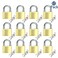 ABRA FOX Solid Brass Same Keyed Padlock keyed Alike Locks of 12 Pack Solid Lock with 25mm Wide Lock Body Keyed Padlocks for Toolbox LuggageSchool lockers Backpacks