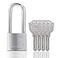 Mindy 40mm Long Shackle Padlocks for Outdoor Use All Weather Resistant Alloy Steel Heavy Duty Lock with 4 Keys