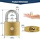 HOX 6Pack Keyed Padlock Waterproof and Rustproof Solid Brass Lock with 114 Wide Body Padlock with Keys for Storage Unit Sheds Garages and Fence