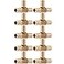 SharkBite 12 Inch Crimp Tee Pack of 10 Brass Plumbing Fitting PEX Pipe PERT UC362LFA10