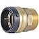SharkBite 12 Inch MNPT Adapter Push to Connect Brass Plumbing Fitting PEX Pipe Copper CPVC PERT HDPE U120LFA