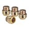 PROCURU 4Pack 12Inch PushFit End Cap PushtoConnect Brass Plumbing Fitting for Copper PEX CPVC PERT Pipes 8X30124P