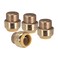 PROCURU 4Pack 12Inch PushFit End Cap PushtoConnect Brass Plumbing Fitting for Copper PEX CPVC PERT Pipes 8X30124P