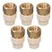 Midline Valve CSDQG012OM5 Female x CPVC Adapter Transition Pipe Fitting DurableOver Molded OnePiece Design 12 in Brass 5 Pack