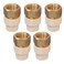 Midline Valve CSDQG012OM5 Female x CPVC Adapter Transition Pipe Fitting DurableOver Molded OnePiece Design 12 in Brass 5 Pack