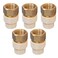 Midline Valve CSDQG012OM5 Female x CPVC Adapter Transition Pipe Fitting DurableOver Molded OnePiece Design 12 in Brass 5 Pack