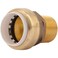 SharkBite 1 Inch PVC x 1 Inch MNPT Adapter Push to Connect Brass Plumbing Fitting PEX Pipe Copper CPVC PERT HDPE UIP140A