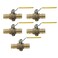 XFITTING 5 Pieces 1 Pex A Expansion Ball Valve with Drop Ear