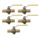 XFITTING 5 Pieces 1 Pex A Expansion Ball Valve with Drop Ear