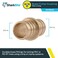 SharkBite 34 Inch Crimp Coupling Pack of 10 Brass Plumbing Fitting PEX Pipe PERT UC016LFA10