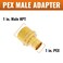 SUNGATOR 6Pack PEX 1 x 1 NPT Male Threaded Adapter Crimp Fitting No Lead Brass