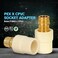 Midline Valve CSDQFG012OM 1 Expansion PEX x CPVC Adapter Pipe Fitting leadfree Brass Single