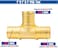 WHK 6 PACK PEXB 1 inch X 1 Inch x 1 Inch Pex Tee Brass Adapter Crimp Pex Fittings
