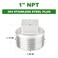 TAISHER 5PCS 304 Stainless Steel Outer Square Thread Socket Pipe Plug Fitting 1 NPT Male