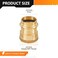 HeSun 10Pack Copper Press Fitting Adapter34 Press X 34 Female NPT Adapter LF BrassPEX1807356