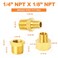 GASHER 30PCS Brass Pipe Fitting Hex Bushing Reducer Adapter Reducing Hex Nipple 14 Inch NPT x 18 Inch NPT