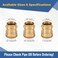 GUOFIS Copper Press Fittings Adapter34 Press Fit x 34 Female NPT ThreadedLF Brass Material5 PACKPEX18073565Pack
