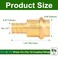 FullMayPro 12inch Press Propress X 12 PEX Crimp Coupling Brass Fittings Adapter For Copper and Pex Pipe ConnectionLeadFree 10PC 12inch
