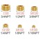 Joywayus 30PCS Brass Hex Counter Sunk Plug 116 18 14 38 12 34 NPT Male Pipe Fitting Set Internal Hex Socket Thread Pipe Plug for Closing the End of Pipe