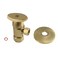 Kingston Brass CD53307VAK 58OD x 38 OD AntiSeize Deluxe Quarter Turn Ceramic Hardisc Cartridge Angle Stop with Flange Brushed Brass