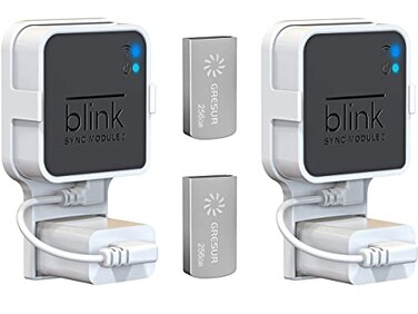 Gresur 256GB USB Flash Drive for Local Video Storage with The Blink Sync Module 2 Mount Blink AddOn Sync Module 2 is NOT Included 2Pack