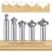 Akylin 5pcs Point Cutting Roundover Router Bit Set12 ShankCutting Dia 38583478 and 1RoundOver Plunge Cutter for Wood PlungingRouting