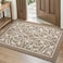 DEXI Front Door Mat Indoor Entryway Inside Welcome Entrance Doormat Low Profile Thin Non Slip Washable Entry Mats for House Floor Dirt Trapper 32x48 Brown