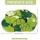 RORA Bathroom Rugs Moss Bath mat Green Bath mat Cute Leaf Bath Mats Non Slip Soft Microfiber Water Absorbent Aesthetic Moss Rug College Decor for Bathroom Shower3D Rugs 3220 Inch