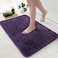 MIULEE Dark Purple Bathroom Rugs Soft Small Absorbent Microfiber Bath Rugs Non Slip Quick Dry Fluffy Bath Mats for Bathroom Floor Tub Showers Machine Washable 16x24 Inch