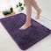MIULEE Dark Purple Bathroom Rugs Soft Small Absorbent Microfiber Bath Rugs Non Slip Quick Dry Fluffy Bath Mats for Bathroom Floor Tub Showers Machine Washable 16x24 Inch
