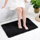 Disolla Black Bathroom Rug 24x36 NonSlip Plush Thick Bath Mat Highly Absorbent Ultra Soft Fluffy Floor Mat Machine Washable for Shower and Tub