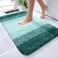 OLANLY Bathroom Rugs Mat 24x16 Extra Soft Absorbent Microfiber Bath Rugs Rubber Backing Quick Dry Washable Bath Mats for Bathroom Floor Tub and Shower Home Decor Accessories Blackish Green