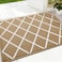 Finchitty Indoor Door Mat Dirt Resistant and Absorbent LowProfile NonSlip Washable Inside Floor Mats for Front Door Back and Entrance 32 x 20 Beige
