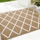 Finchitty Indoor Door Mat Dirt Resistant and Absorbent LowProfile NonSlip Washable Inside Floor Mats for Front Door Back and Entrance 32 x 20 Beige