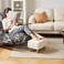 Aibiju Ottoman with Storage Small Foot Rest for Couch 16x12x95inch Safety Hinge Flip Top Foot Stool Load up to 330lb for Living Room Dorm Teddy White YDJD136W