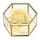 Hipiwe Preserved Flower Glass Box Hexagon Glass Jewelry Decorative Bin Ornate Trinket Display Organizer Case Keepsake Box Gift for Women